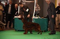 Crufts2011 808